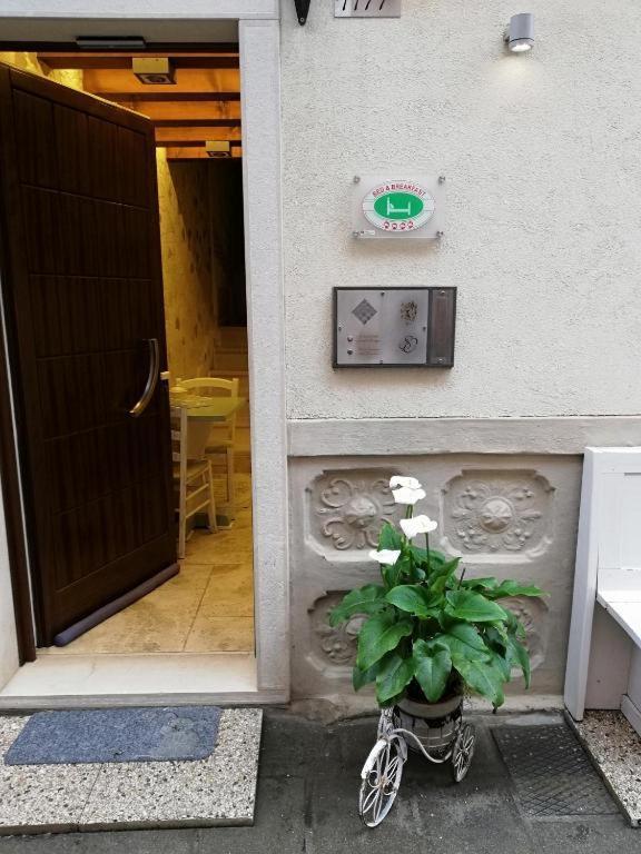 קיוג'ה B & B San Domenico מראה חיצוני תמונה